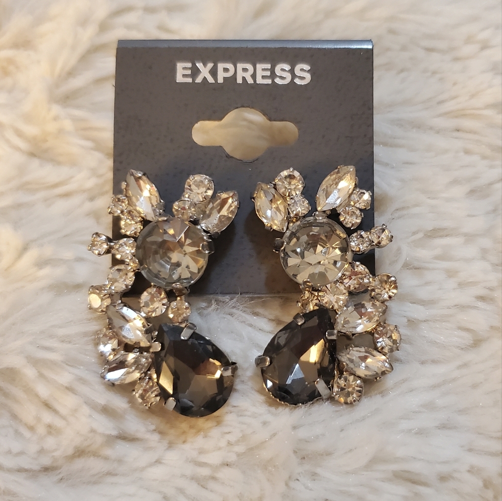 Express Silver Statement Earrings - Picture 1 of 4
